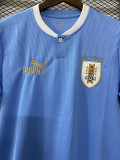 22-23 Uruguay Home World Cup Fans Soccer Jersey