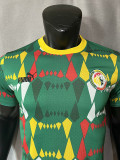 23-24 Senegal Green Player Version Soccer Jersey