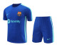 23-24 BAR Blue Training Short Suit