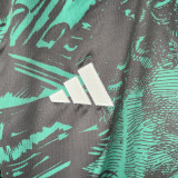 2023 Italy Special Edition Green Long Sleeve Soccer Jersey (长袖)