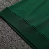 23-24 Algeria Green Hoodie Jacket Tracksuit