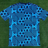 23-24 Denmark Blue Training Shirts