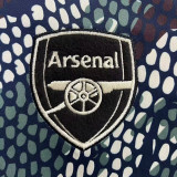 23-24 ARS Grey Blue Joint Edition Fans Soccer Jersey