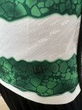 23-24 Celtic Home Player Version Soccer Jersey