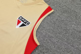 23-24 Sao Paulo Beige Tank top and shorts suit