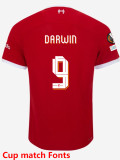 23-24 LIV Red Joint Edition Player Version Training Shirts