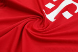 23-24 Bayern Red Training Short Suit