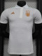 23-24 Italy White Special Edition Player Version Training Shirts