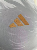 2023 Japan White Gold Special Edition Player Version Training Shirts (金边)