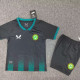 23-24 Ireland Third Kids Soccer Jersey