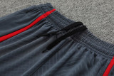 23-24 LIV Grey Training Shorts Pants