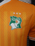 22-23 Ivory Coast Home 3 Star Player Version Soccer Jersey (带三星)