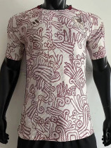 22-23 Mexico Away World Cup Player Version Soccer Jersey