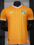 22-23 Ivory Coast Home 3 Star Player Version Soccer Jersey (带三星)