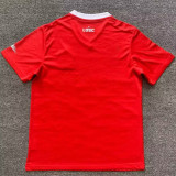 23-24 Lille Home Fans Soccer Jersey