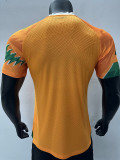 23-24 Ivory coast Orange Green Special Edition Player Version Training Shirts