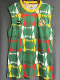 23-24 Senegal Green Vest