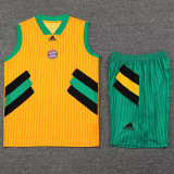 23-24 Bayern Classic Yellow Tank top and shorts suit