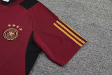 23-24 Germany Reddish brown Training Short Suit