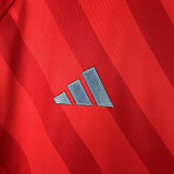 23-24 Celta Away Fans Soccer Jersey
