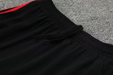 23-24 Bayern Red Training Short Suit