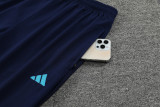 23-24 Argentina Royal Blue Hoodie Jacket Tracksuit