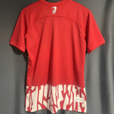 23-24 SC Freiburg Home Fans Soccer Jersey