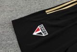 23-24 Sao Paulo Black Training Shorts Pants