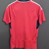 23-24 Costa Rica Home Fans Soccer Jersey