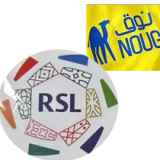 23-24 AL-Nassr Home Player Version Soccer Jersey