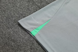 23-24 LIV Grey Training Short Suit
