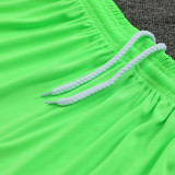 23-24 Bayern Fluorescent Green GoalKeeper Shorts Pants