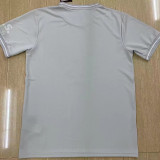 2023 Dortmund Grey Special Edition Fans Soccer Jersey