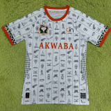 23-24 Ivory coast White Player Version Training Shirts ''AKWABA''