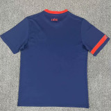 23-24 Lille Third Fans Soccer Jersey