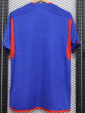 23-24 Lyon Away Fans Soccer Jersey