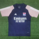 23-24 Lyon Royal Blue Training shirts