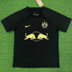 2023 RB Salzburg Black Champion Edition Fans Soccer Jersey (萨尔茨堡红牛)