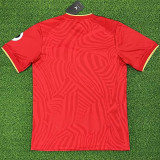 23-24 Sevilla Away Fans Soccer Jersey