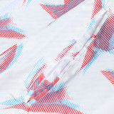 2023 Japan Blue & White Double Sided Windbreaker (双面风衣)
