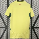 24-25 Wales Away Fans Soccer Jersey