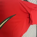 24-25 Wales Home Fans Soccer Jersey