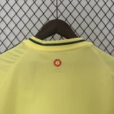 24-25 Wales Away Fans Soccer Jersey