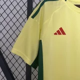 24-25 Wales Away Fans Soccer Jersey