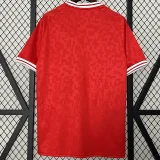 24-25 Denmark Home Fans Soccer Jersey