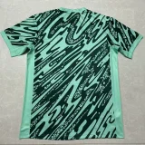 24-25 Brazil Light Green Training Shirts