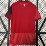 24-25 Poland Away Fans Soccer Jersey