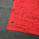24-25 Austria Home Fans Soccer Jersey