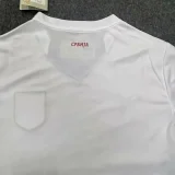 24-25 Serbia Away Fans Soccer Jersey