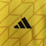 24-25 Colo-Colo Yellow GoalKeeper Fans Soccer Jersey